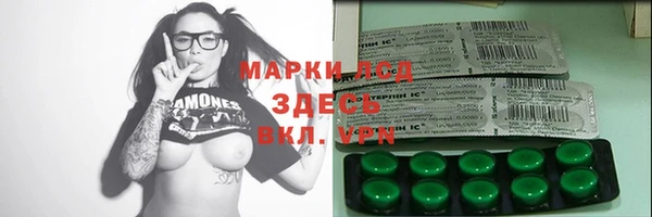 стаф Касимов