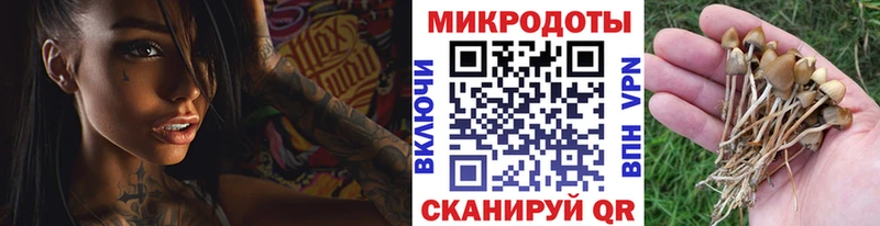 Псилоцибиновые грибы GOLDEN TEACHER  Приморск 