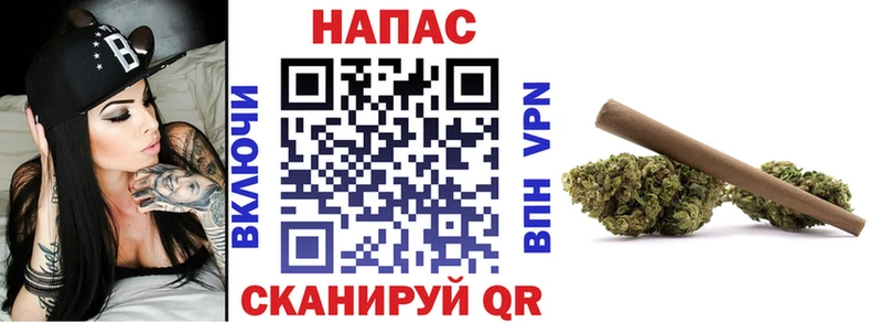 Бошки марихуана конопля  Приморск 